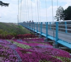 芝桜の名所 東海 静岡県 岐阜県おすすめ 10選 まとめ 今日の話題 Com