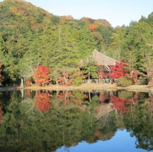 福島県の初詣人気ランキング おすすめスポットまとめ 今日の話題 Com