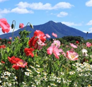 子供と一緒に自然の遊び体験 登山 ハイキング 茨城県 まとめ 今日の話題 Com